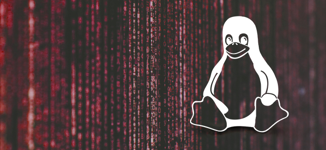 linux vulnerability