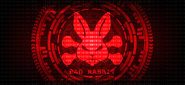 Bad Rabbit Ransomware